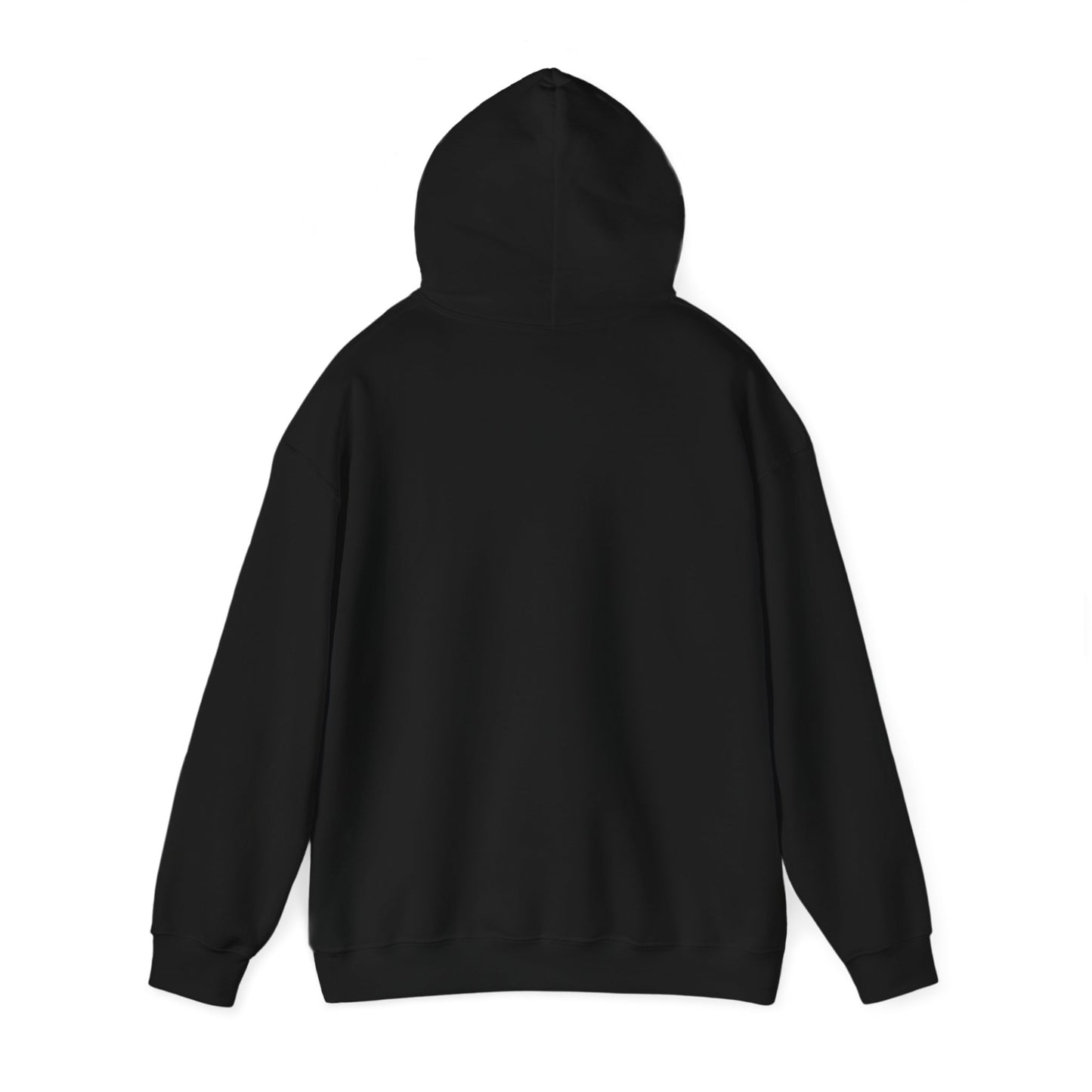 Hooded Sweatshirt - 'NO SH T, SHERLOCK' Design